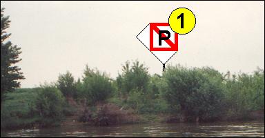 kép