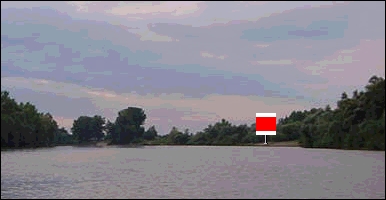 kép